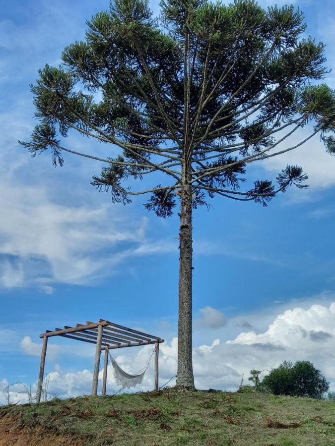 Celeiro Guarapuava, 4 Quartos, Paz E Tranquilidade 外观 照片